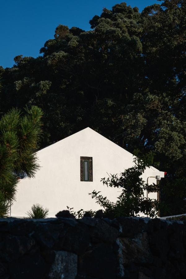 Entre Muros - Turismo Rural - Casa Com Jardim E Acesso Direto Ao Mar Ribeira Grande Esterno foto
